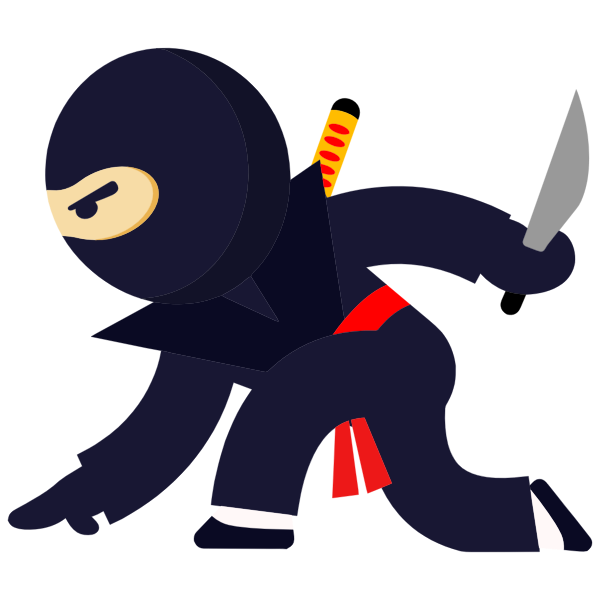 Stealthy Ninja