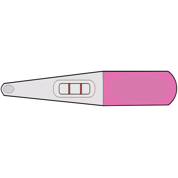 Pink Pregnancy Test