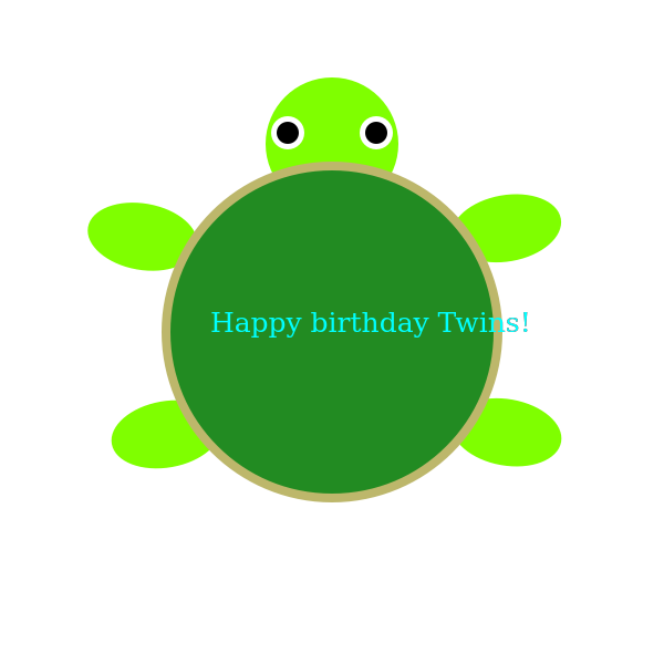 Birthday turtle