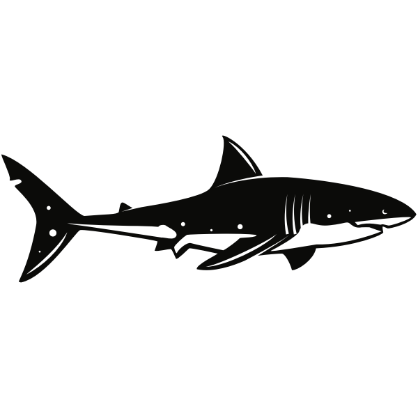 Free Free 80 Laser Shark Svg SVG PNG EPS DXF File