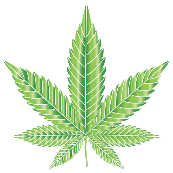 Marijuana Leaf Type II Prismatic 8