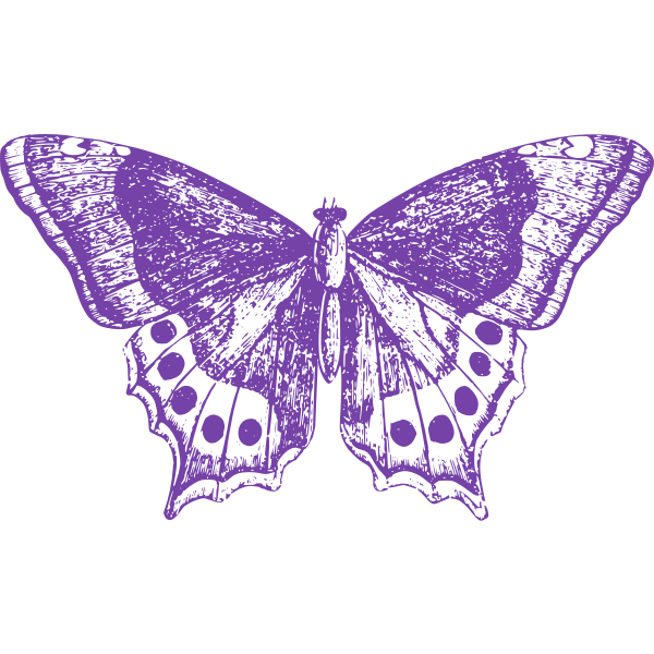 Purple Butterfly | Free SVG