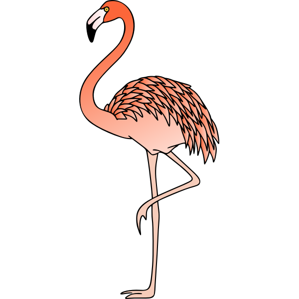 flamingo svg image