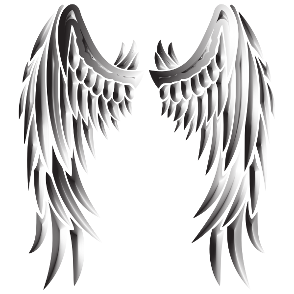 Download Duochrome Angel Wings Free Svg