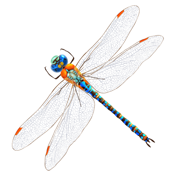 Intricate Dragonfly