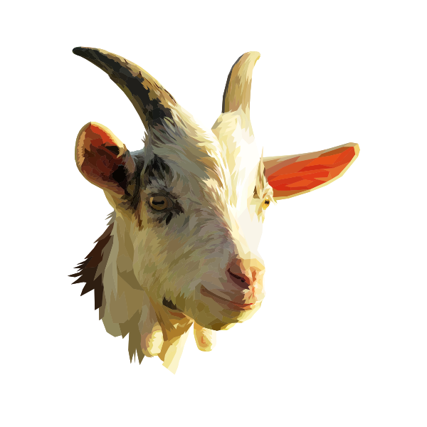 a goats head