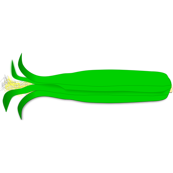 Corn2b