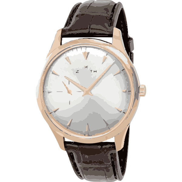 vintage classic brown swiss watch - horlogerie