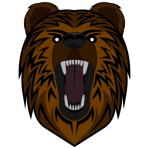 Bear Illustrated