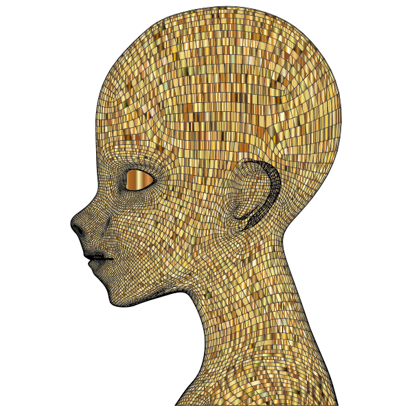Boy Wireframe Head Gold