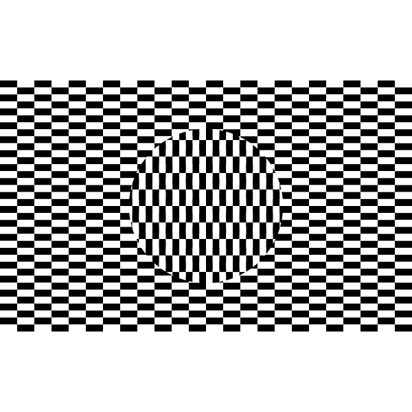 Optical Illusion Checkerboard