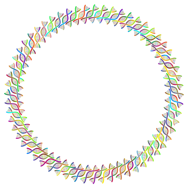 DNA Helix Frame III Polyprismatic | Free SVG
