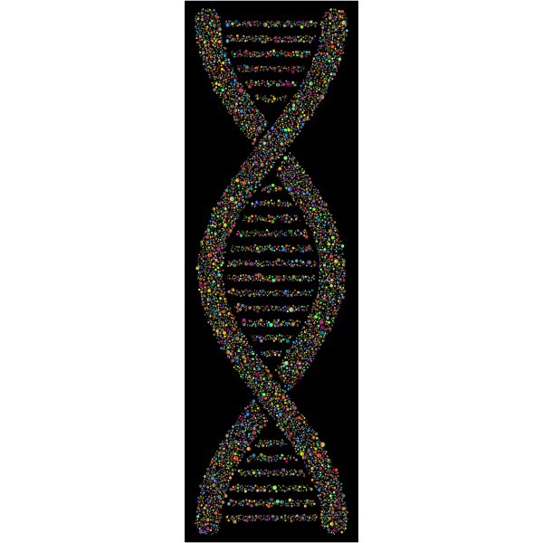DNA Helix Circles Polyprismatic