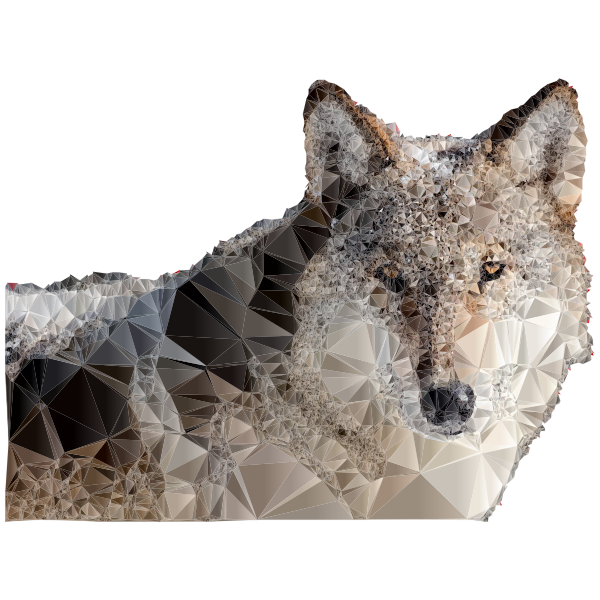 Low Poly Snow Wolf