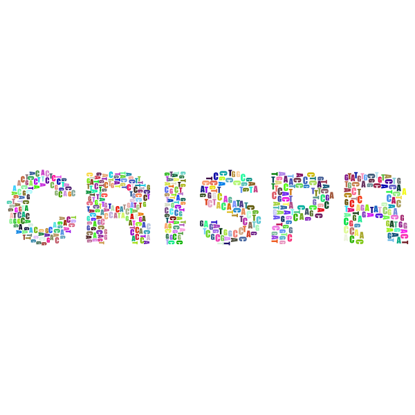 CRISPR III Prismatic