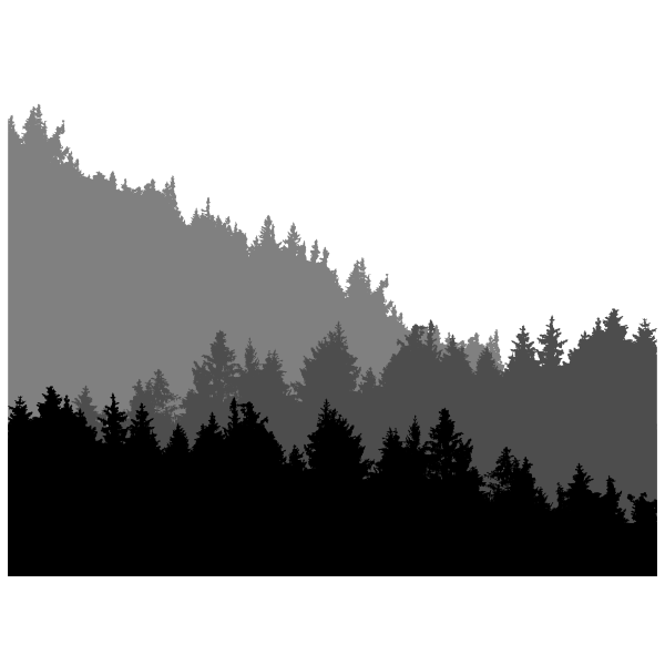 Forest Treeline Landscape