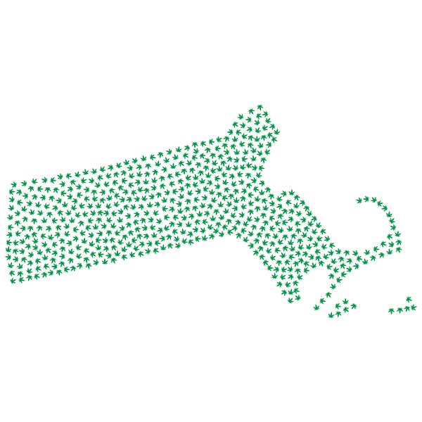 Massachusetts Marijuana Green