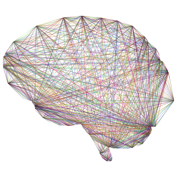 Geometric Connections Brain Chromatic