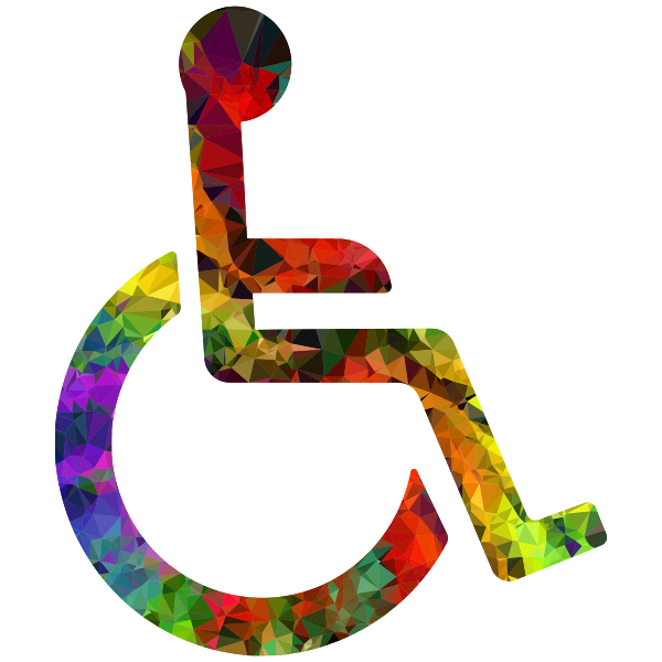Wheelchair Icon Color
