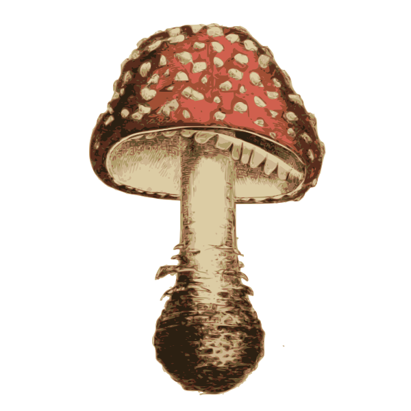 Classic Mushroom