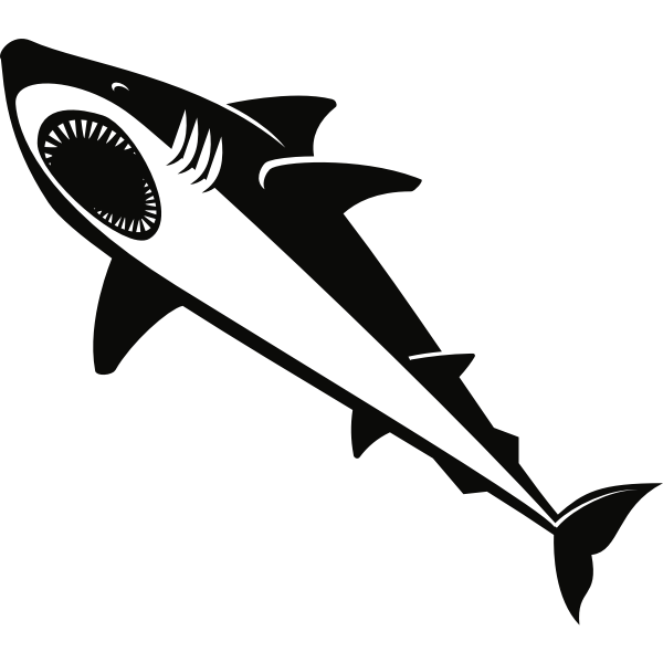 Shark silhouette graphics
