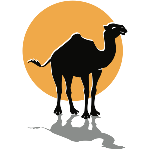 Camel (#4)