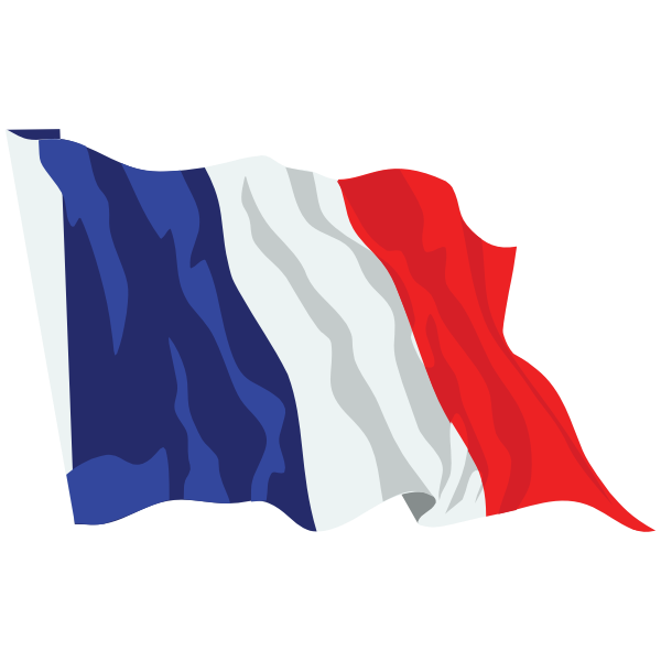 France Flag In The Wind