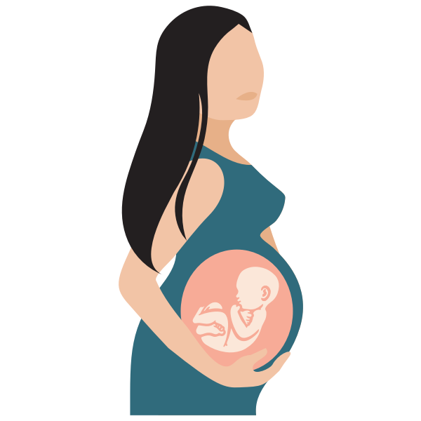 Download Pregnant Woman With See Through Belly Illustration Free Svg