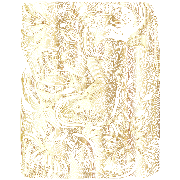 Wrens In Honeysuckle By GW Lennox Paterson Gold No BG