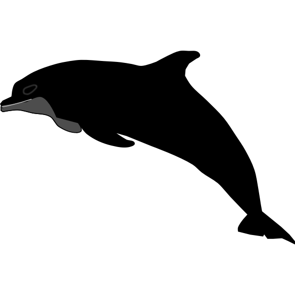 cool-dolphin-free-svg