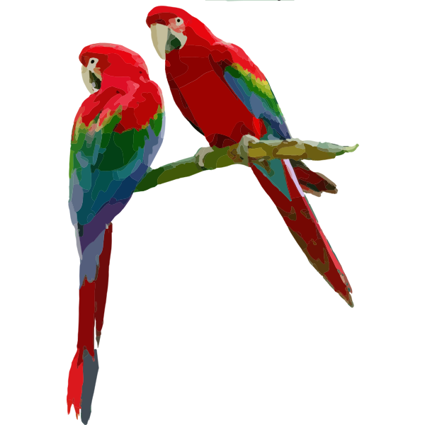 Parrots Free Svg