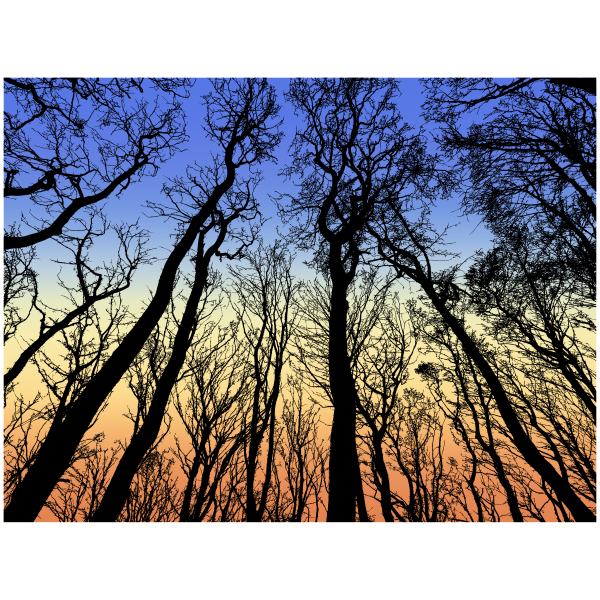 Download Forest In The Morning Sky Free Svg