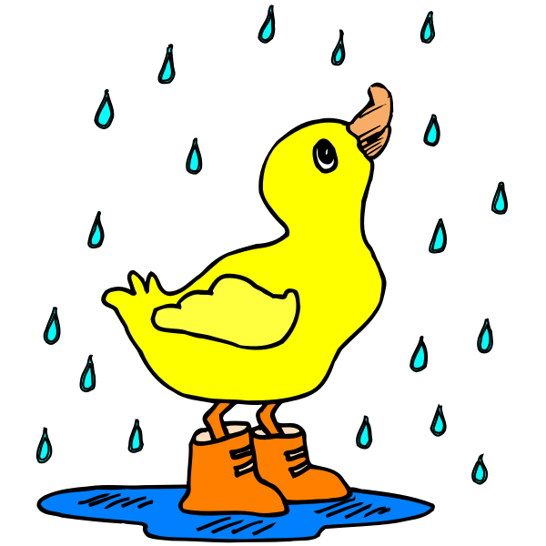 Duck with rain boots