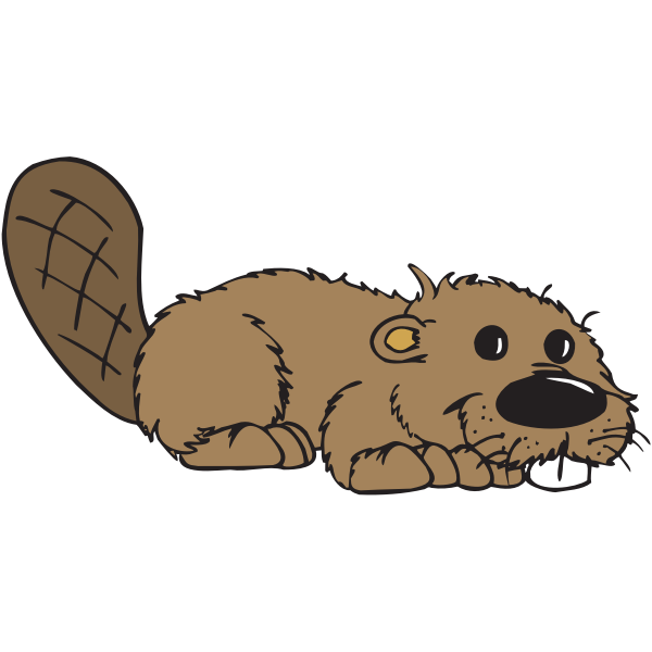 Beaver (#3)