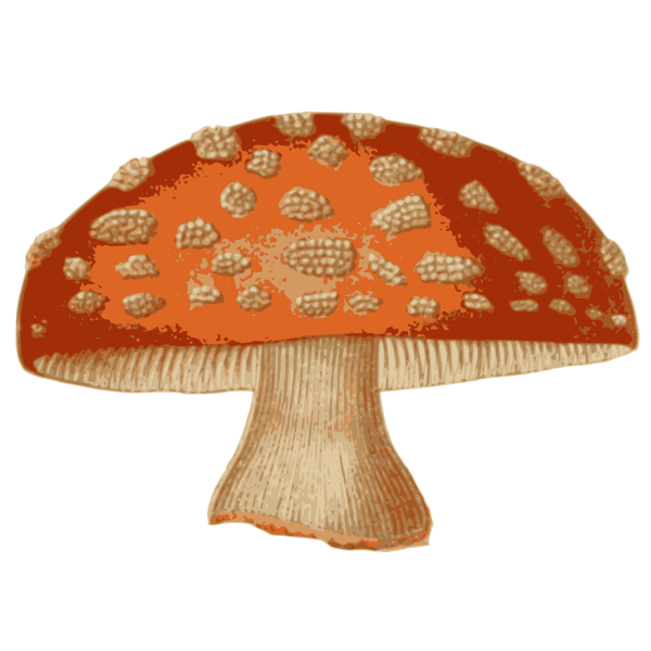 Red Fantasy Mushroom