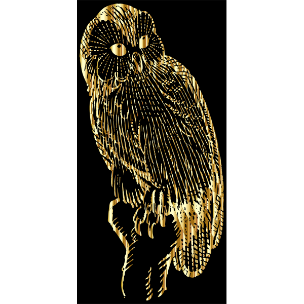 Vintage Owl Line Art Gold