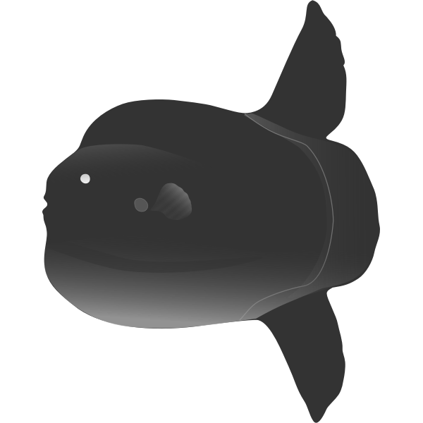 The southern sunfish