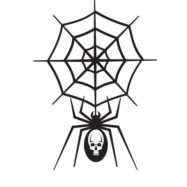 Spider's net