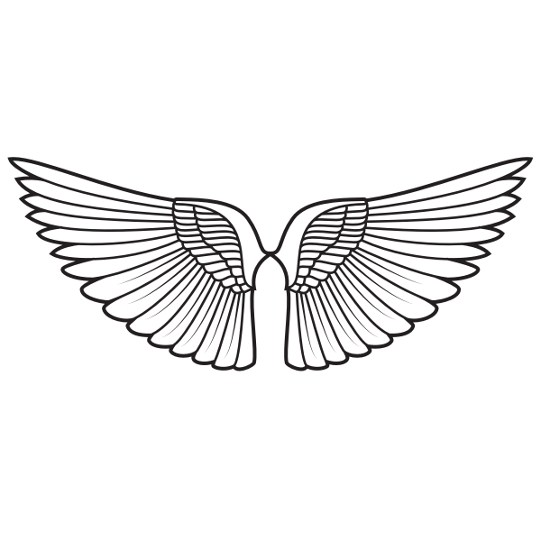 Wings silhouette monochrome