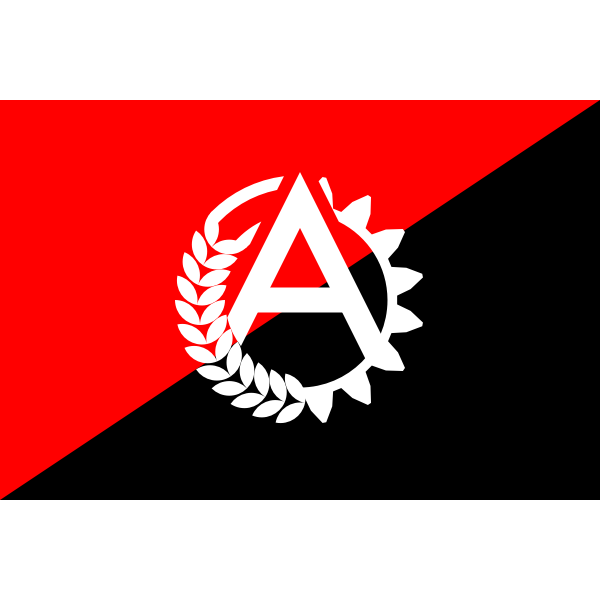 Ancom flag with logo