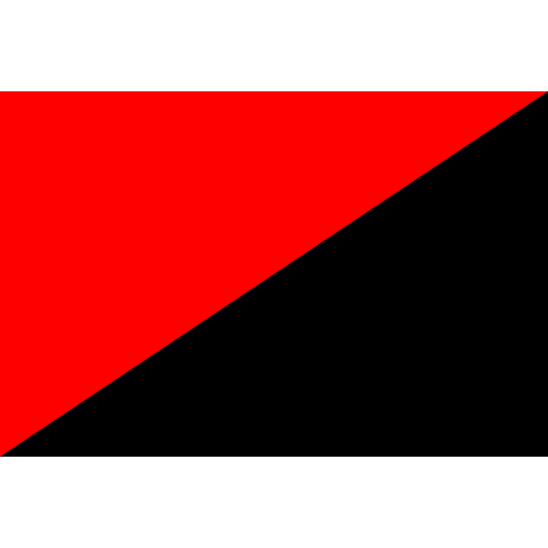 Anarchist flag-1573917814