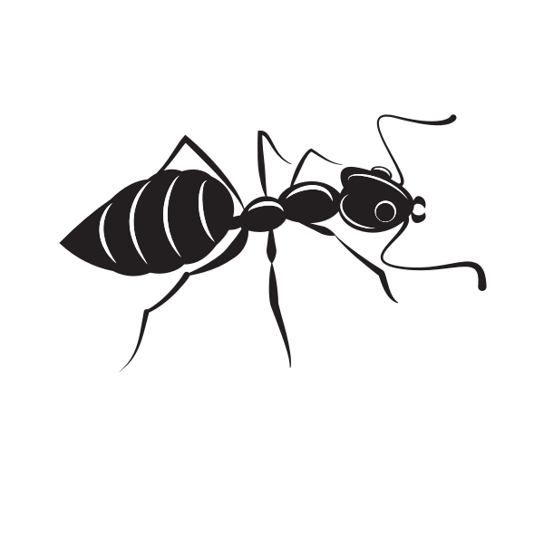 Ant  silhouette clip art