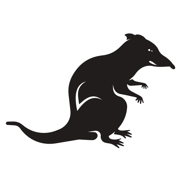 Silhouette of a rat