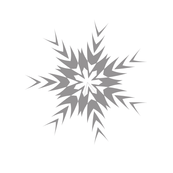 Snowflake particle
