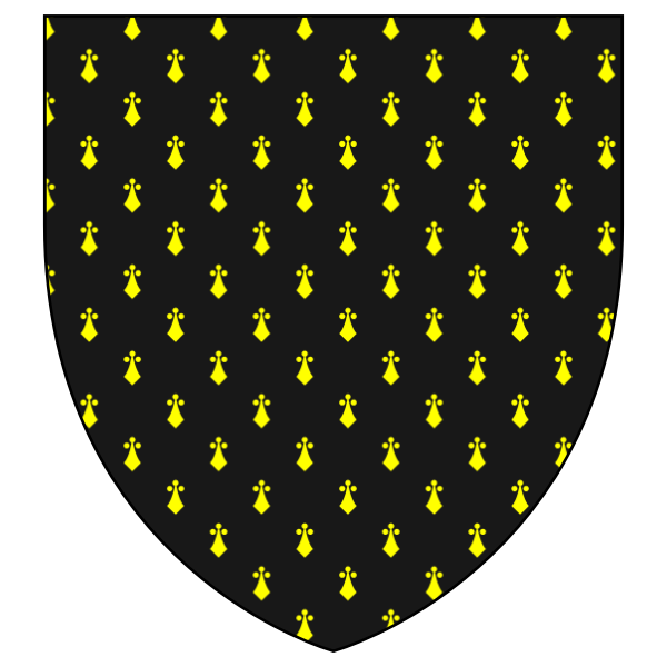 Black shield with yellow pattern