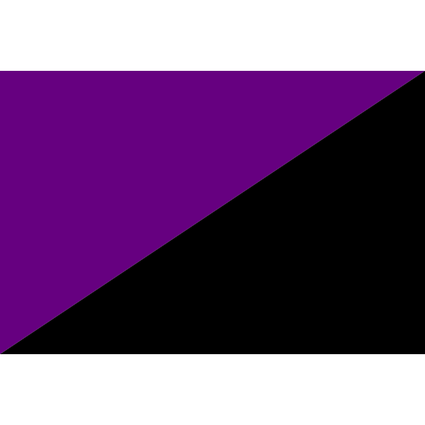 Anarcha-Feminist Flag