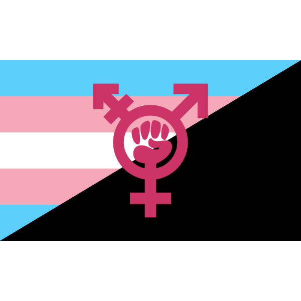 Transgender Anarchist Flag-1595446279