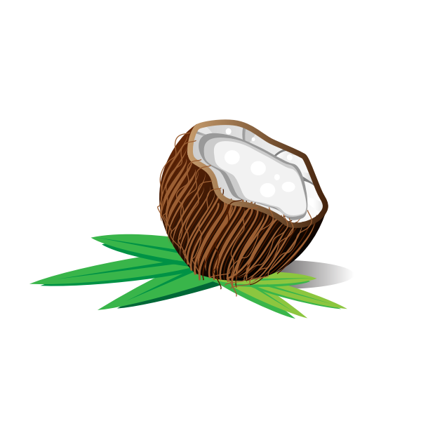 Coconut half