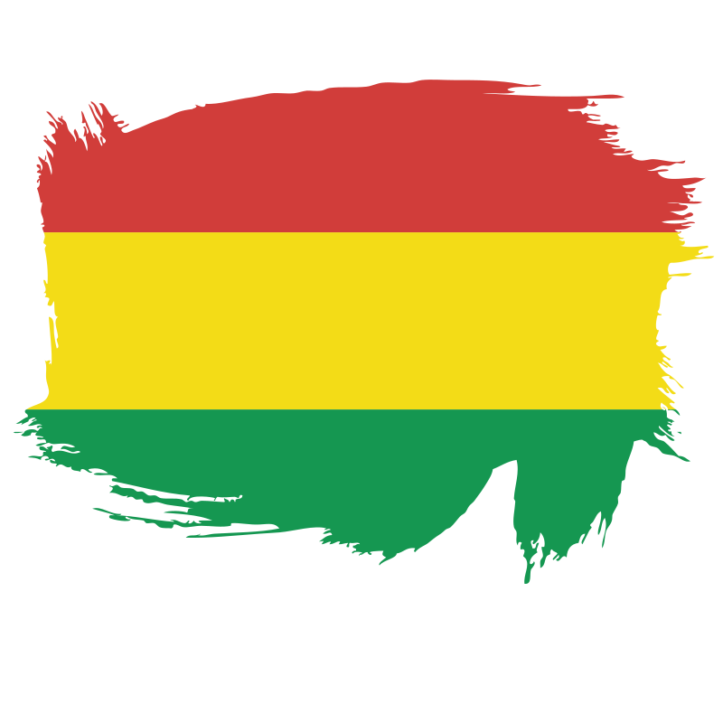 Flag of the State of Bolivia