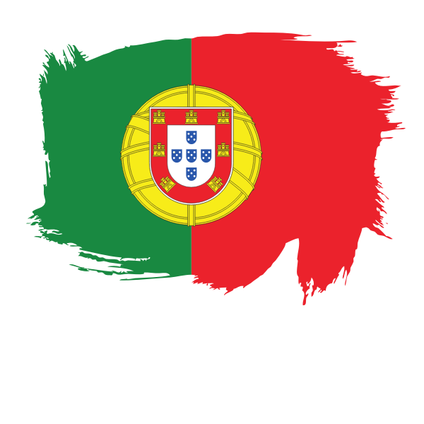 Painted flag of Portugal